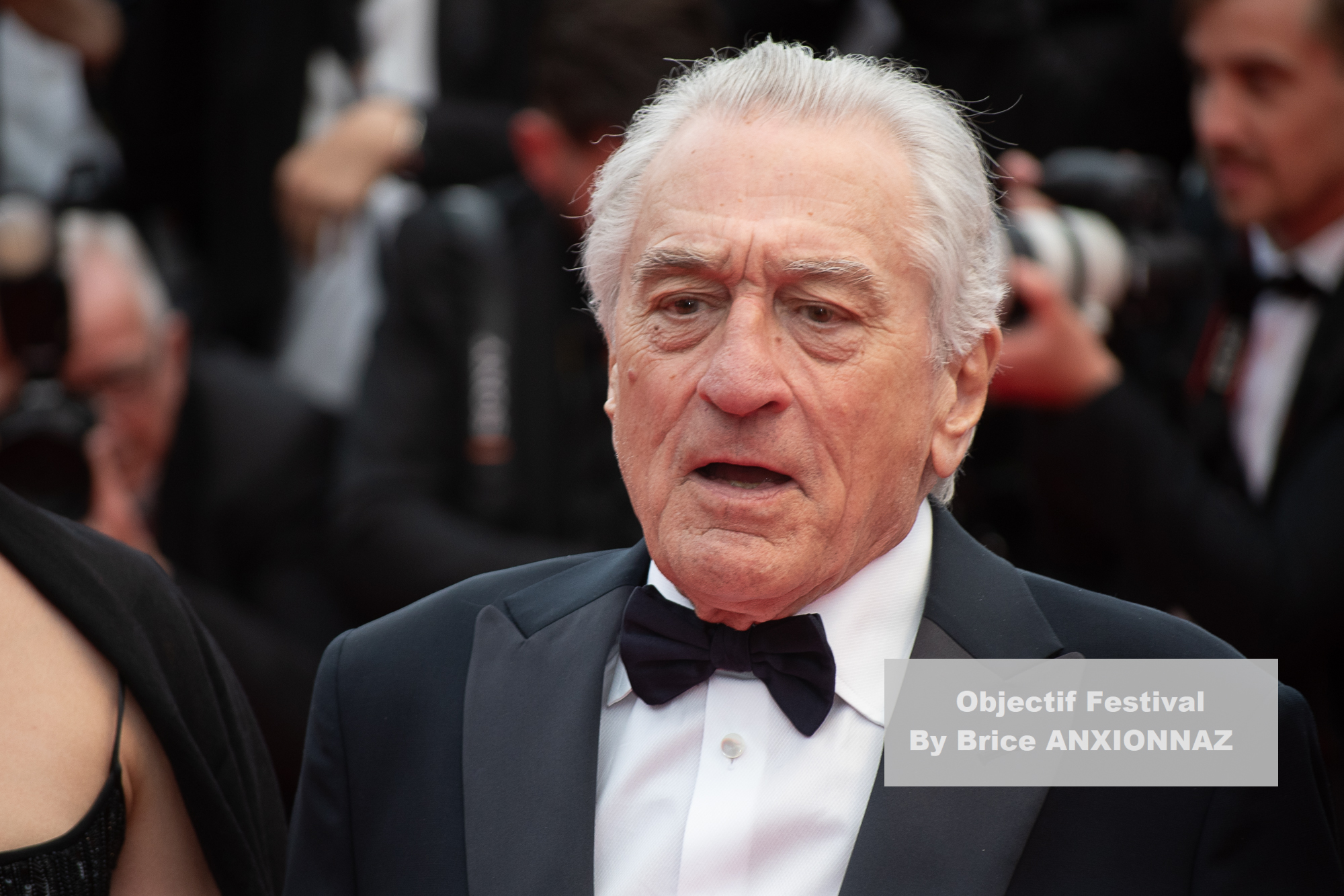 Robert De Niro / 78th Cannes International Film Festival / Objectif Festival by Brice ANXIONNAZ